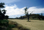 australia - alice springs river.jpg